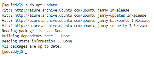 ubuntu proxy server