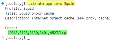 install squid proxy ubuntu