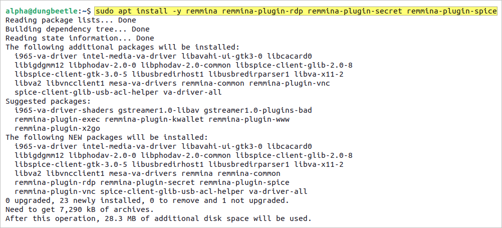 remmina ubuntu