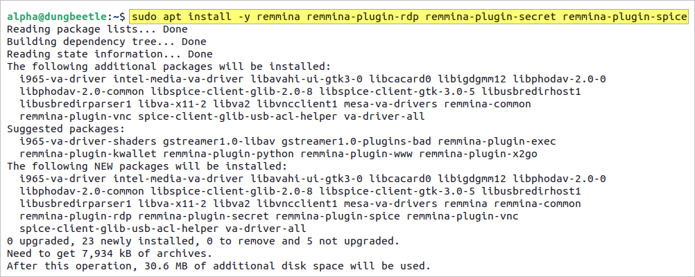 install remmina on ubuntu