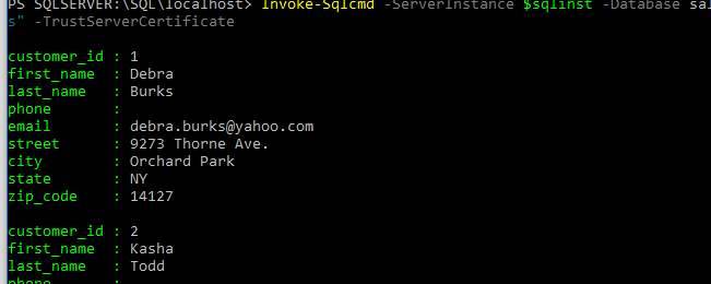 invoke sqlcmd query